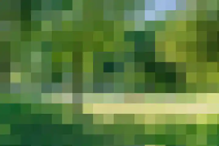 Beverweerd 5 Amersfoort thumbnail 37