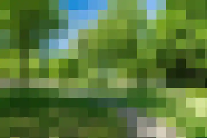 Beverweerd 5 Amersfoort thumbnail 38