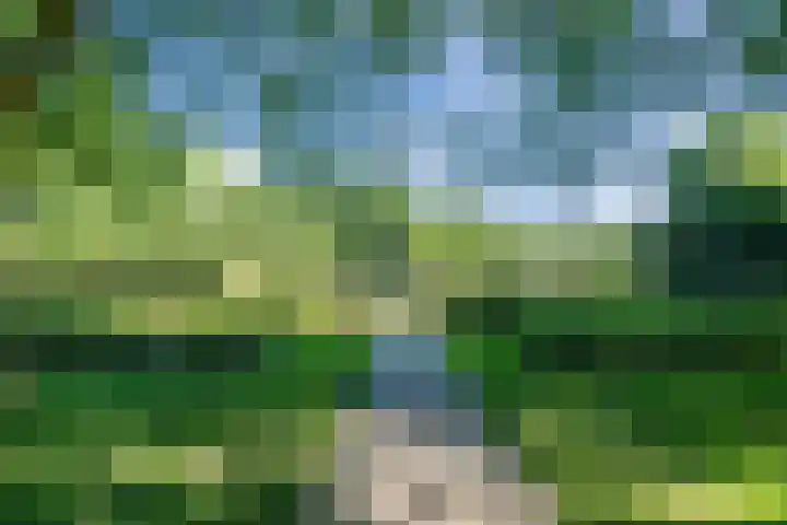 Beverweerd 5 Amersfoort thumbnail 39
