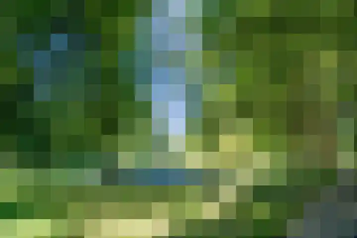 Beverweerd 5 Amersfoort thumbnail 4