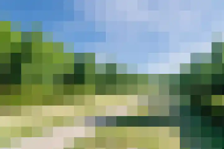 Beverweerd 5 Amersfoort thumbnail 40