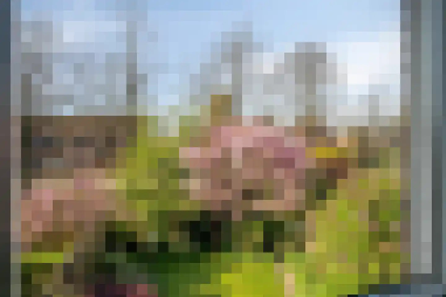 Beverweerd 9 Amersfoort thumbnail 16