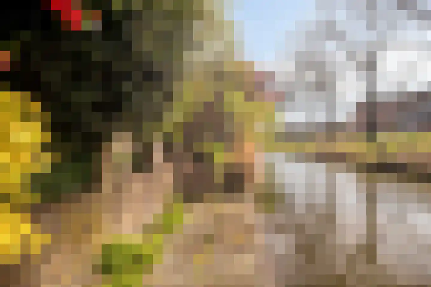 Beverweerd 9 Amersfoort thumbnail 29
