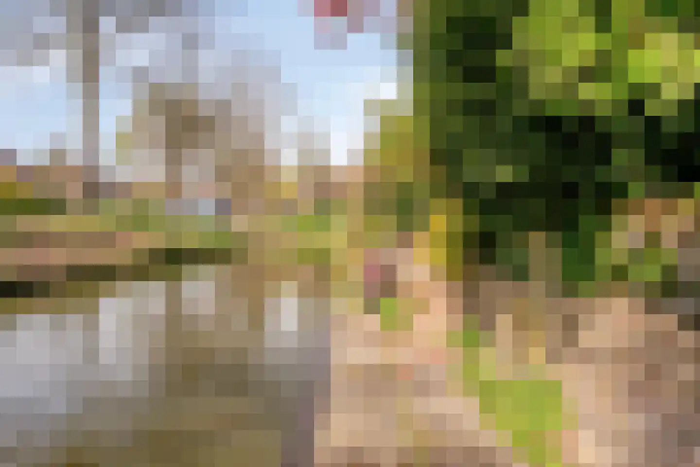Beverweerd 9 Amersfoort thumbnail 30