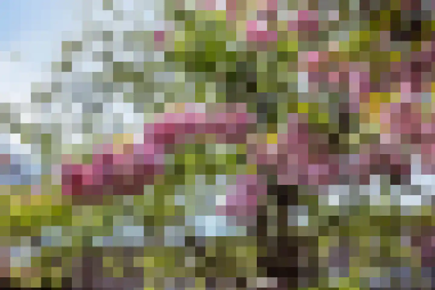 Beverweerd 9 Amersfoort thumbnail 31