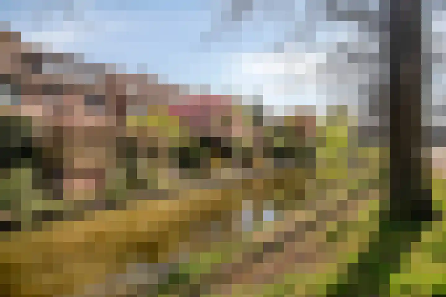 Beverweerd 9 Amersfoort thumbnail 36