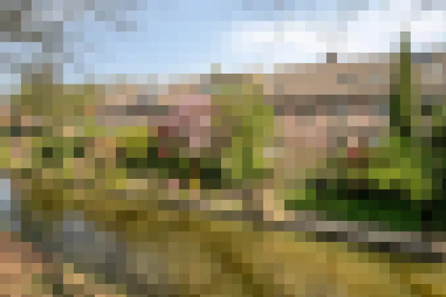 Beverweerd 9 Amersfoort thumbnail 37