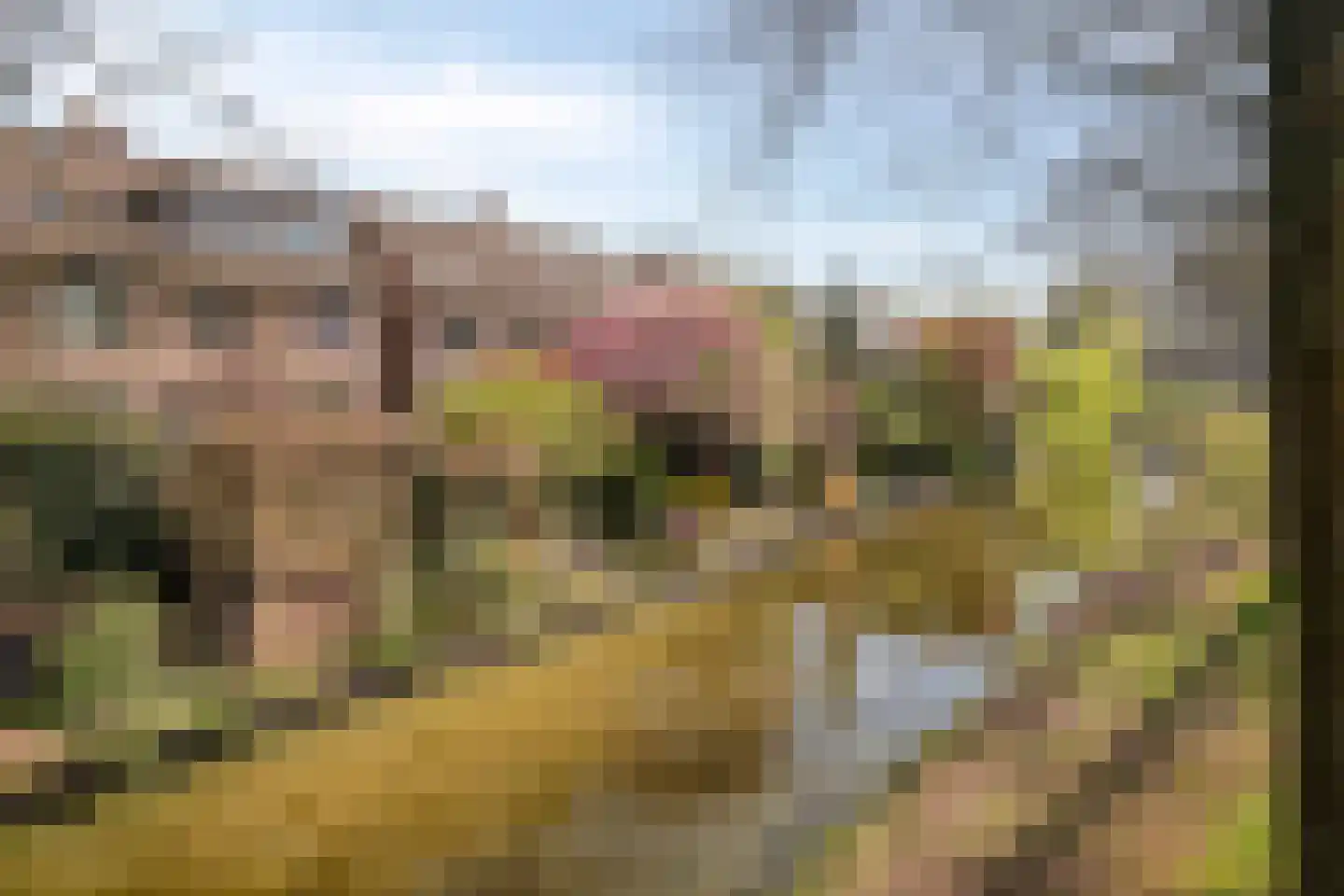 Beverweerd 9 Amersfoort thumbnail 4
