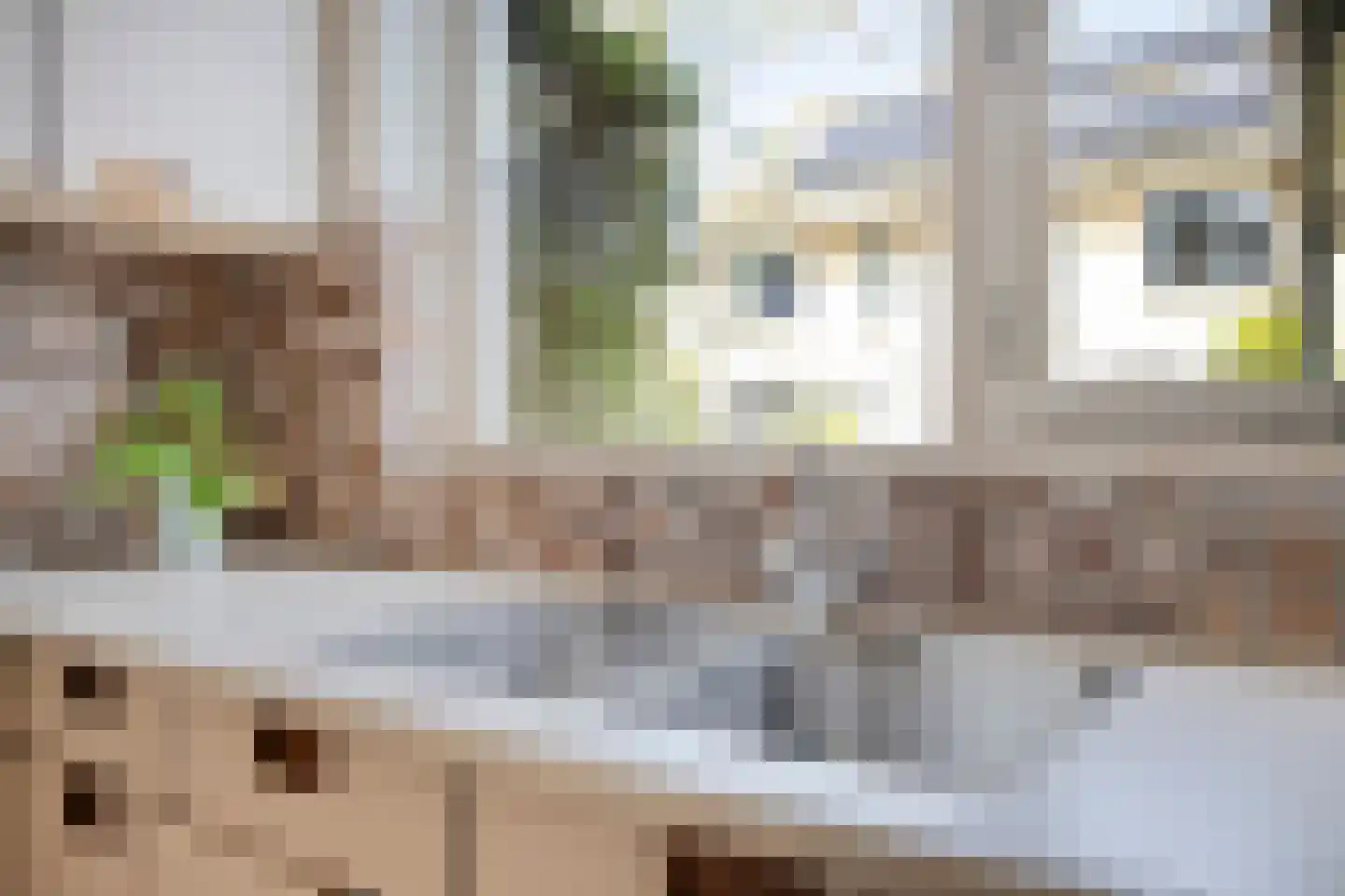 Beverweerd 9 Amersfoort thumbnail 9