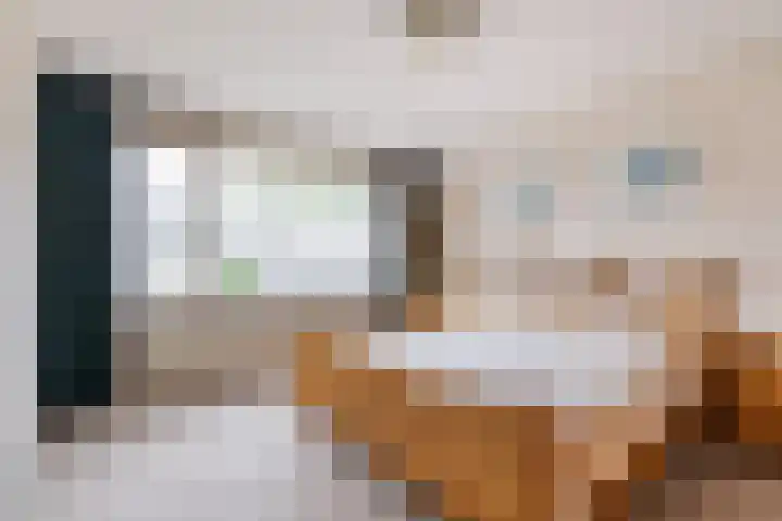 Beverweerdstraat 27 Breda thumbnail 32
