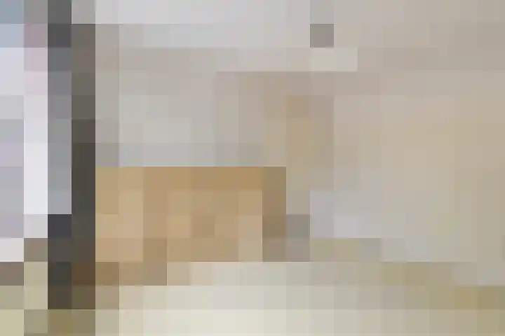 Beverweerdstraat 27 Breda thumbnail 39