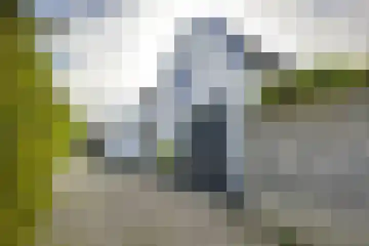 Beverweertseweg 5 Werkhoven thumbnail 48