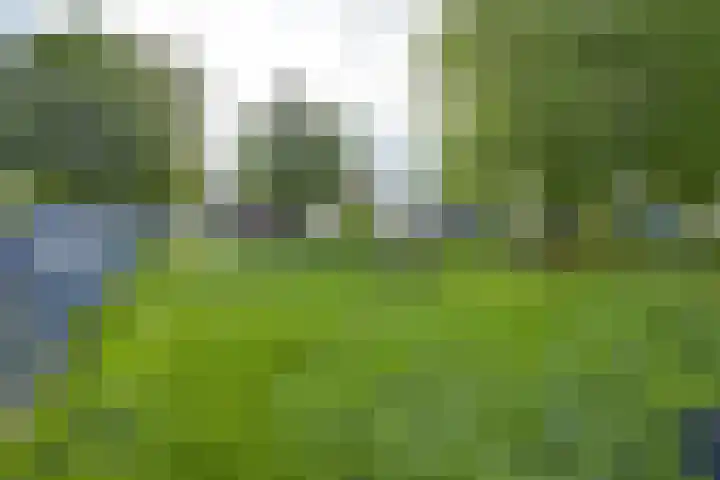 Beverweertseweg 5 Werkhoven thumbnail 52