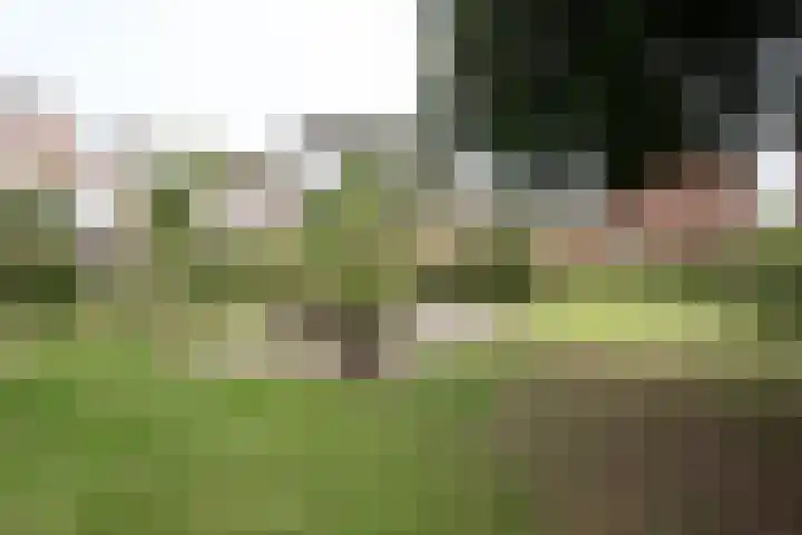 Beverweg 12 B Breda thumbnail 21