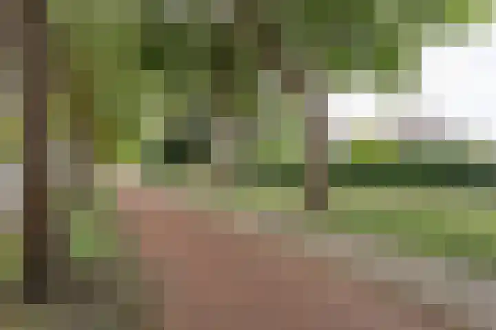 Beverweg 12 B Breda thumbnail 24