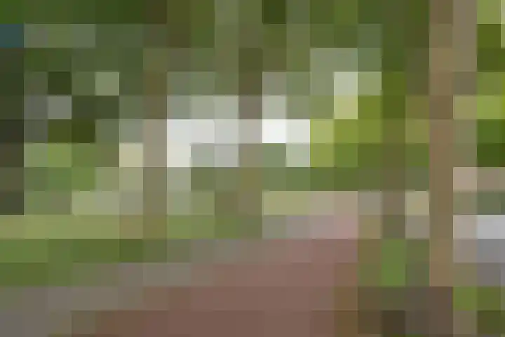 Beverweg 12 B Breda thumbnail 25