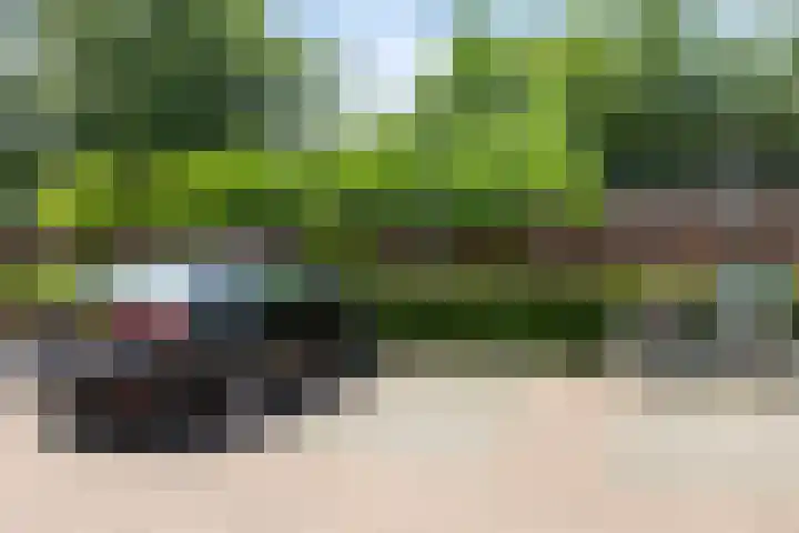 Beverweg 121 Breda thumbnail 15
