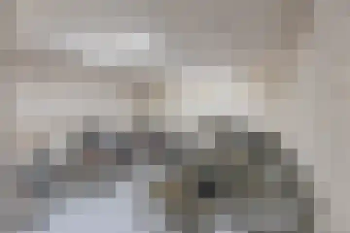 Beverweg 121 Breda thumbnail 17