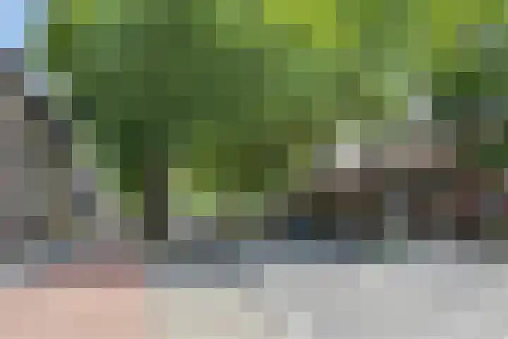 Beverweg 121 Breda thumbnail 20