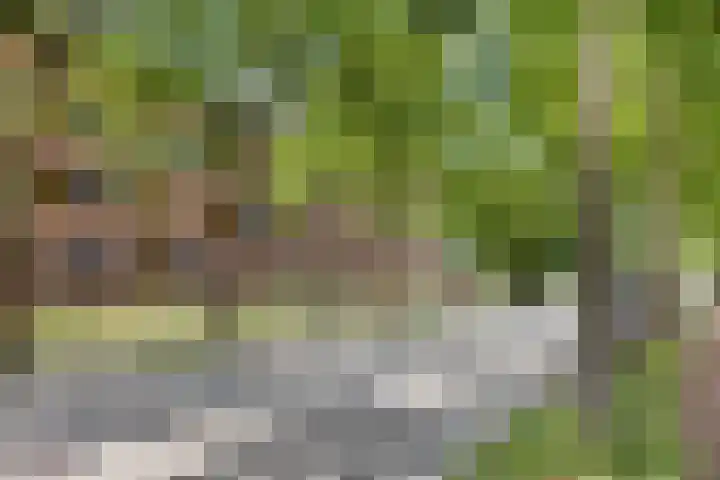 Beverweg 121 Breda thumbnail 21