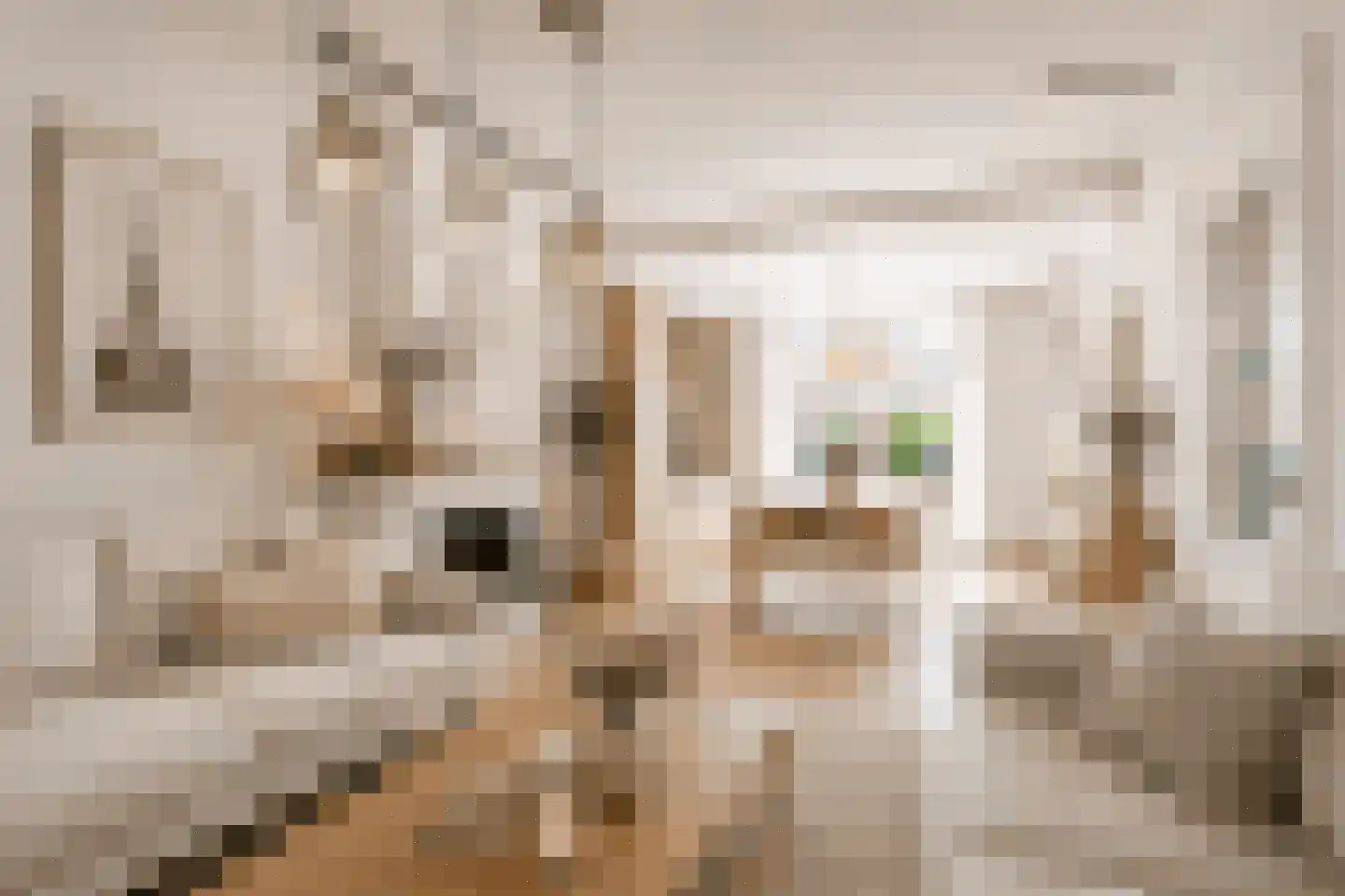 Beverweg 13 Breda thumbnail 10