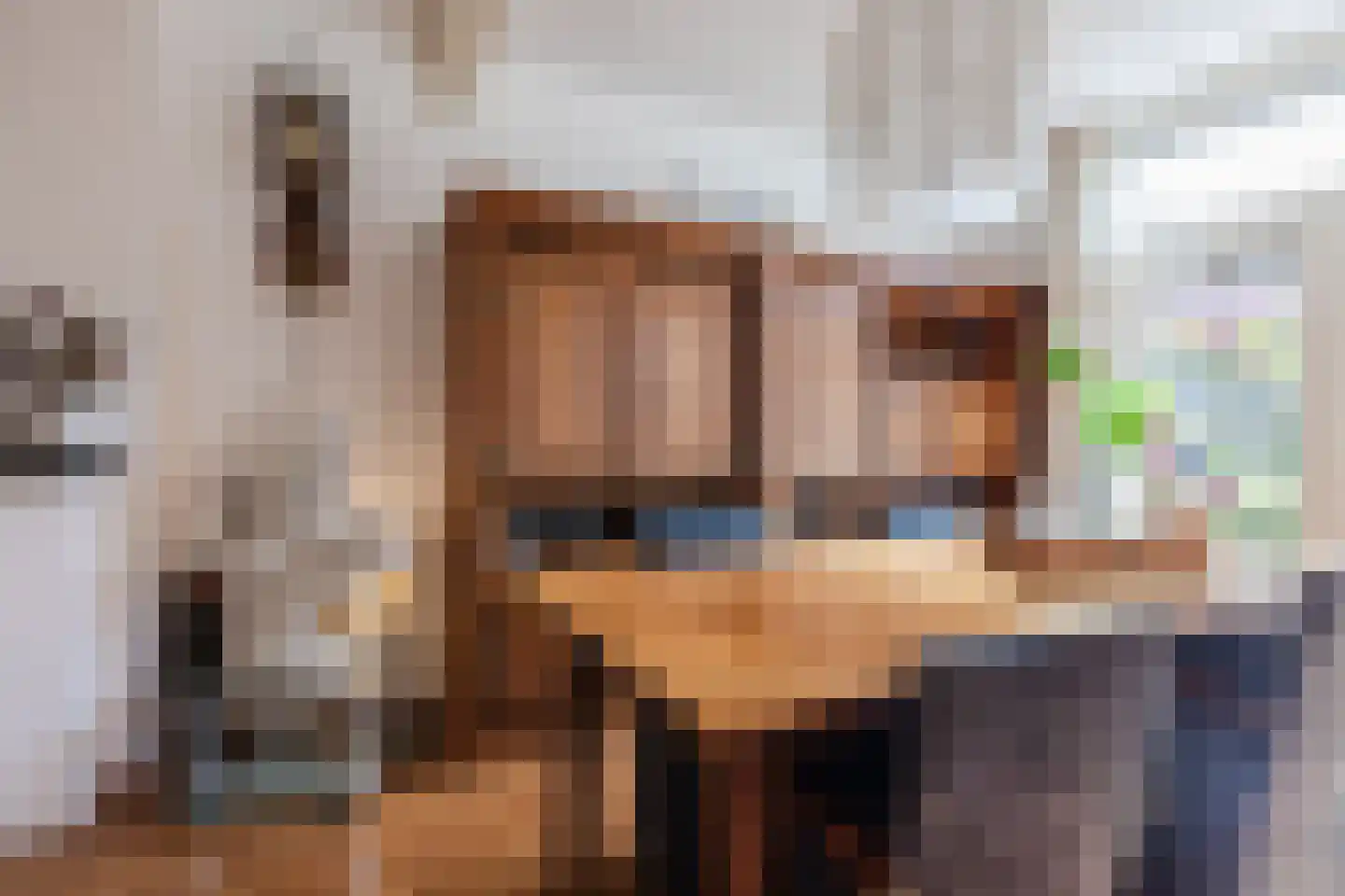 Beverweg 13 Breda thumbnail 12