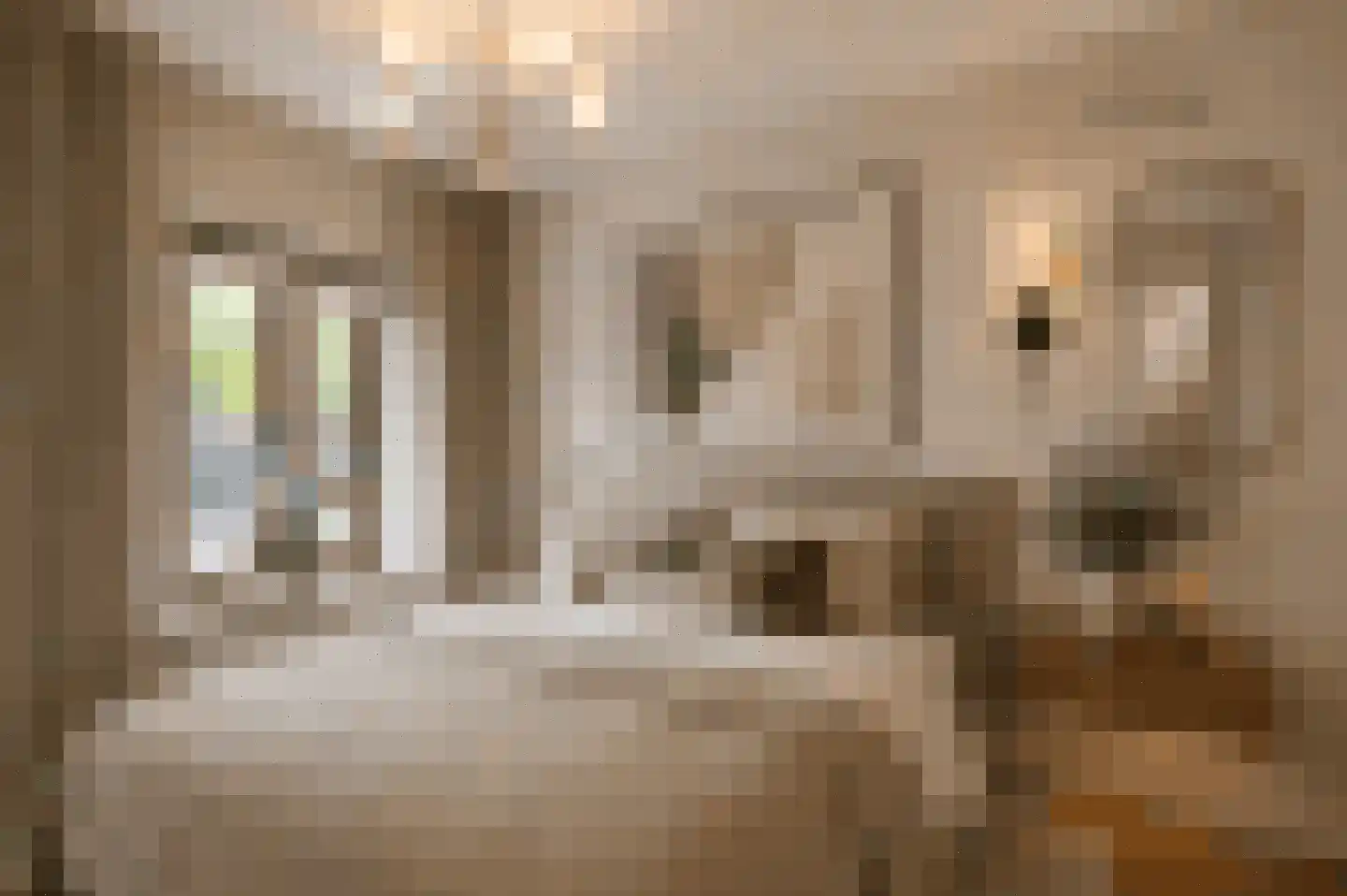 Beverweg 13 Breda thumbnail 22