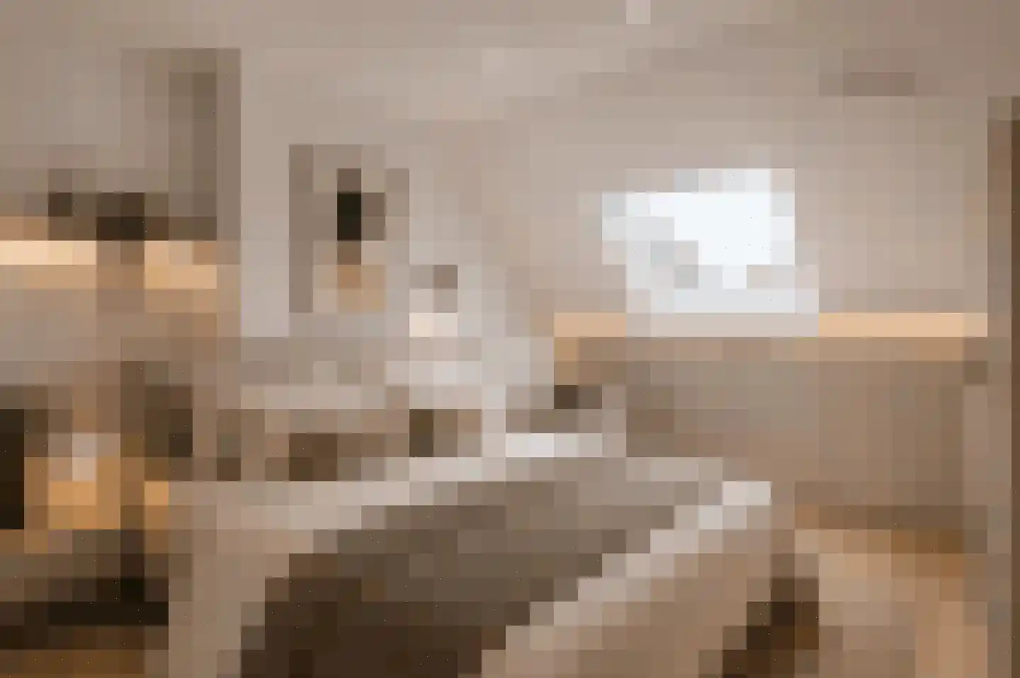Beverweg 13 Breda thumbnail 30