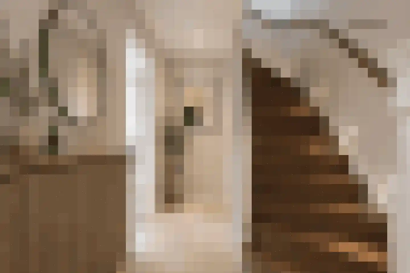 Beverweg 13 Breda thumbnail 6