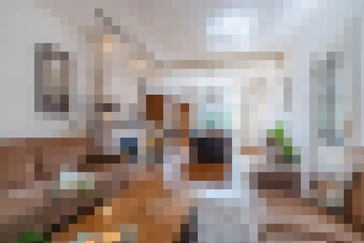 Beverweg 13 Breda thumbnail 9