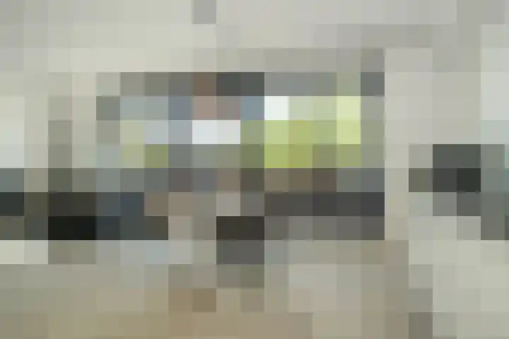 Beverweg 137 Breda thumbnail 9