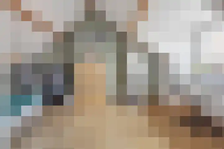 Beverweg 17 Breda thumbnail 25