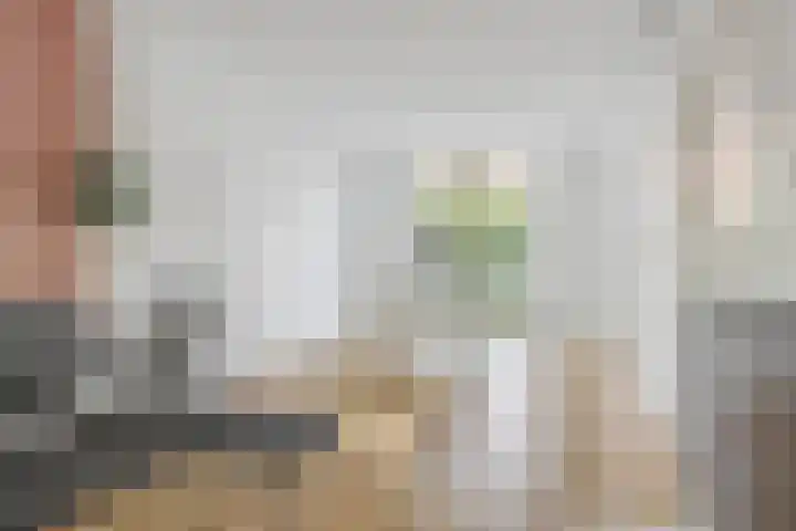 Beverweg 17 Breda thumbnail 6