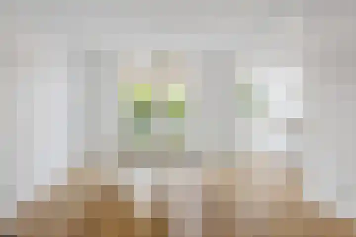 Beverweg 17 Breda thumbnail 7