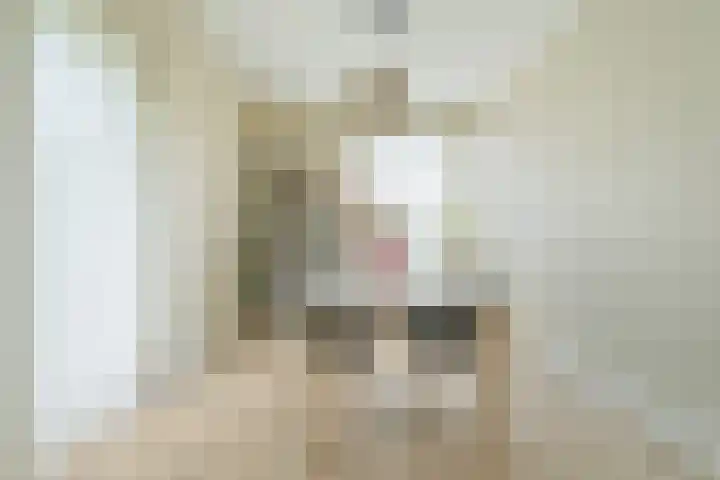 Beverweg 20 Breda thumbnail 20