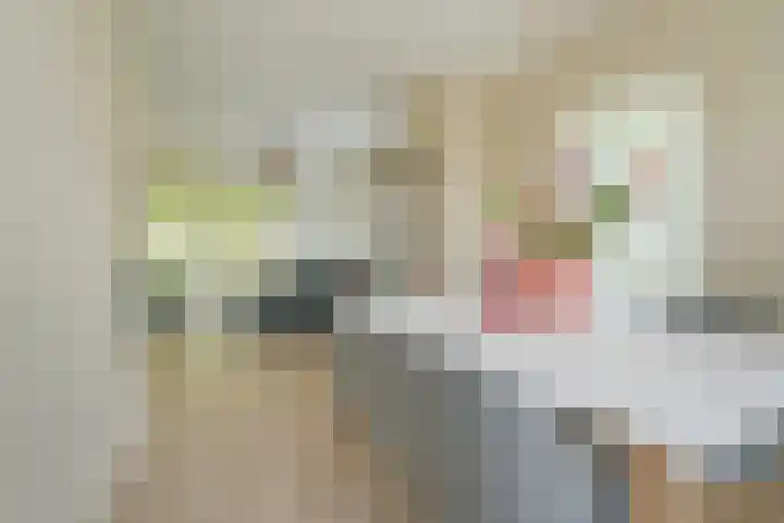 Beverweg 20 Breda thumbnail 22