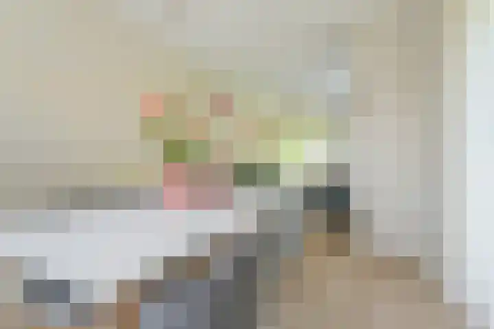 Beverweg 20 Breda thumbnail 23