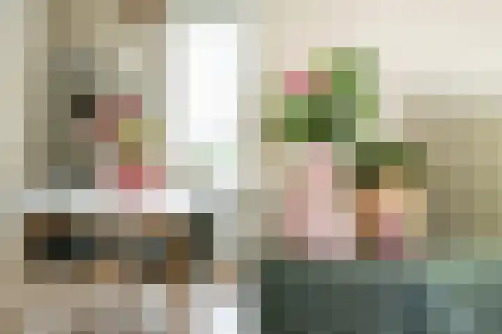 Beverweg 20 Breda thumbnail 24