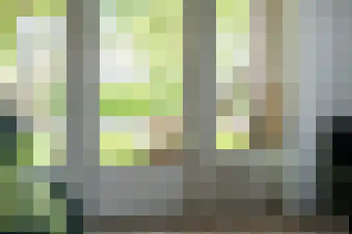 Beverweg 20 Breda thumbnail 25