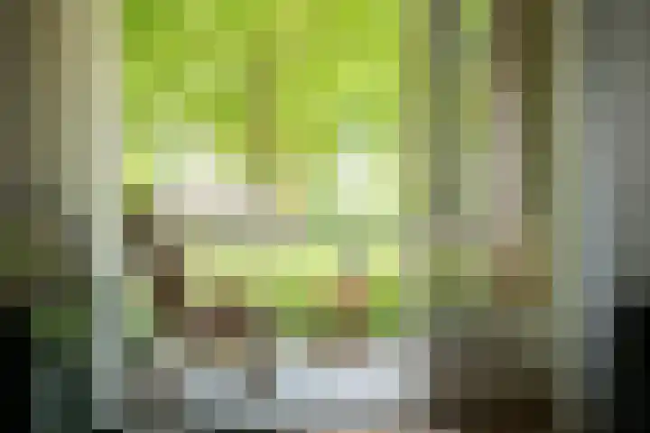 Beverweg 20 Breda thumbnail 26