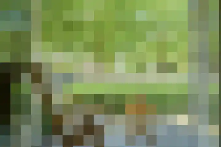 Beverweg 20 Breda thumbnail 27