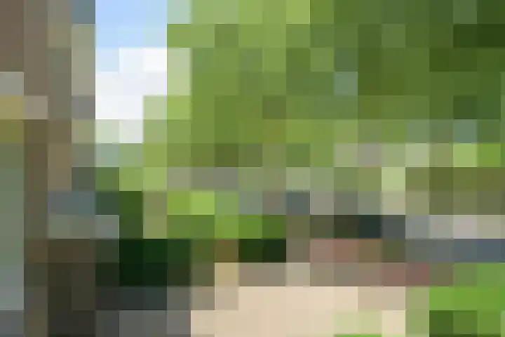 Beverweg 20 Breda thumbnail 28