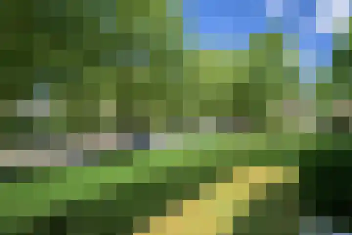 Beverweg 20 Breda thumbnail 29