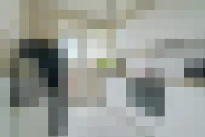 Beverweg 20 Breda thumbnail 30