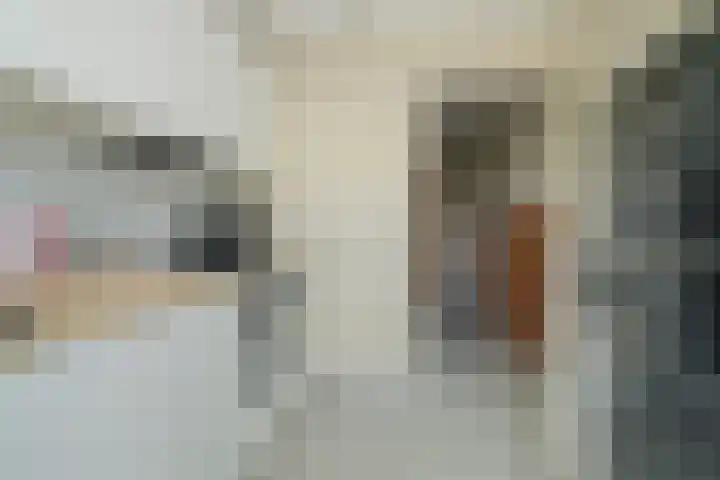 Beverweg 20 Breda thumbnail 33