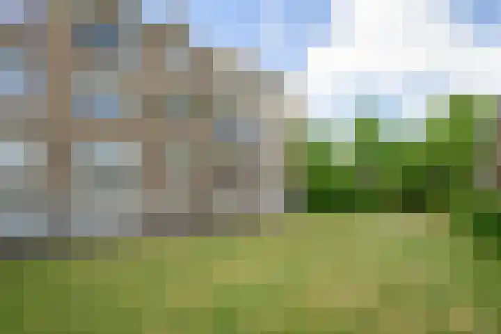 Beverweg 20 Breda thumbnail 42
