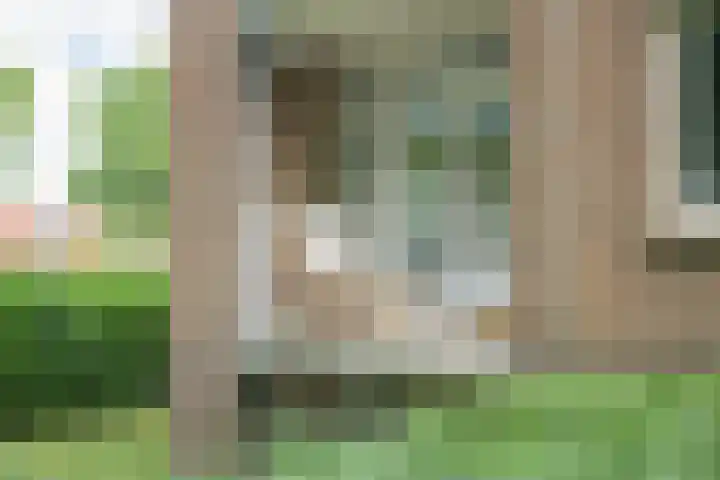 Beverweg 20 Breda thumbnail 43