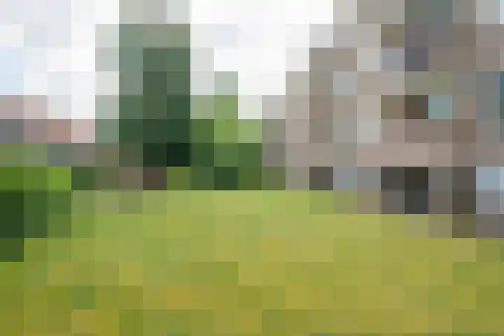 Beverweg 20 Breda thumbnail 44