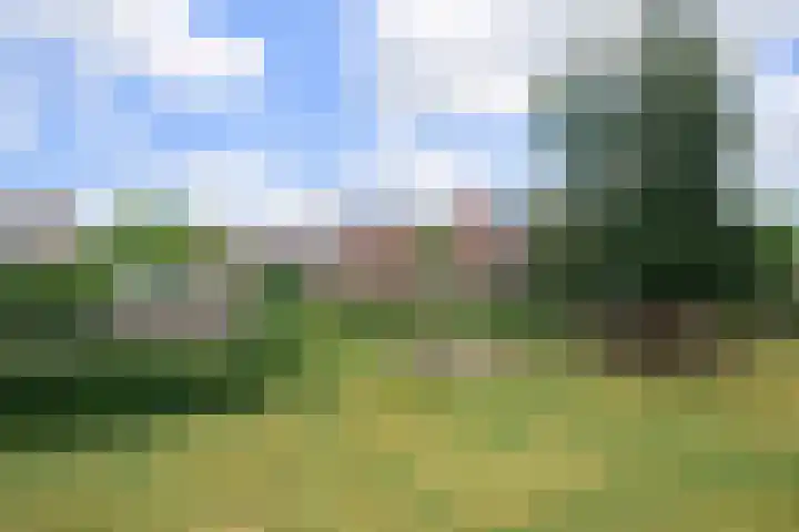 Beverweg 20 Breda thumbnail 46