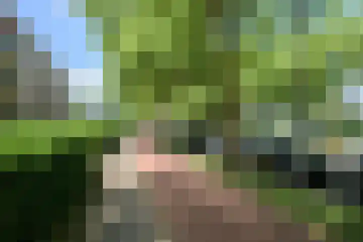 Beverweg 20 Breda thumbnail 51